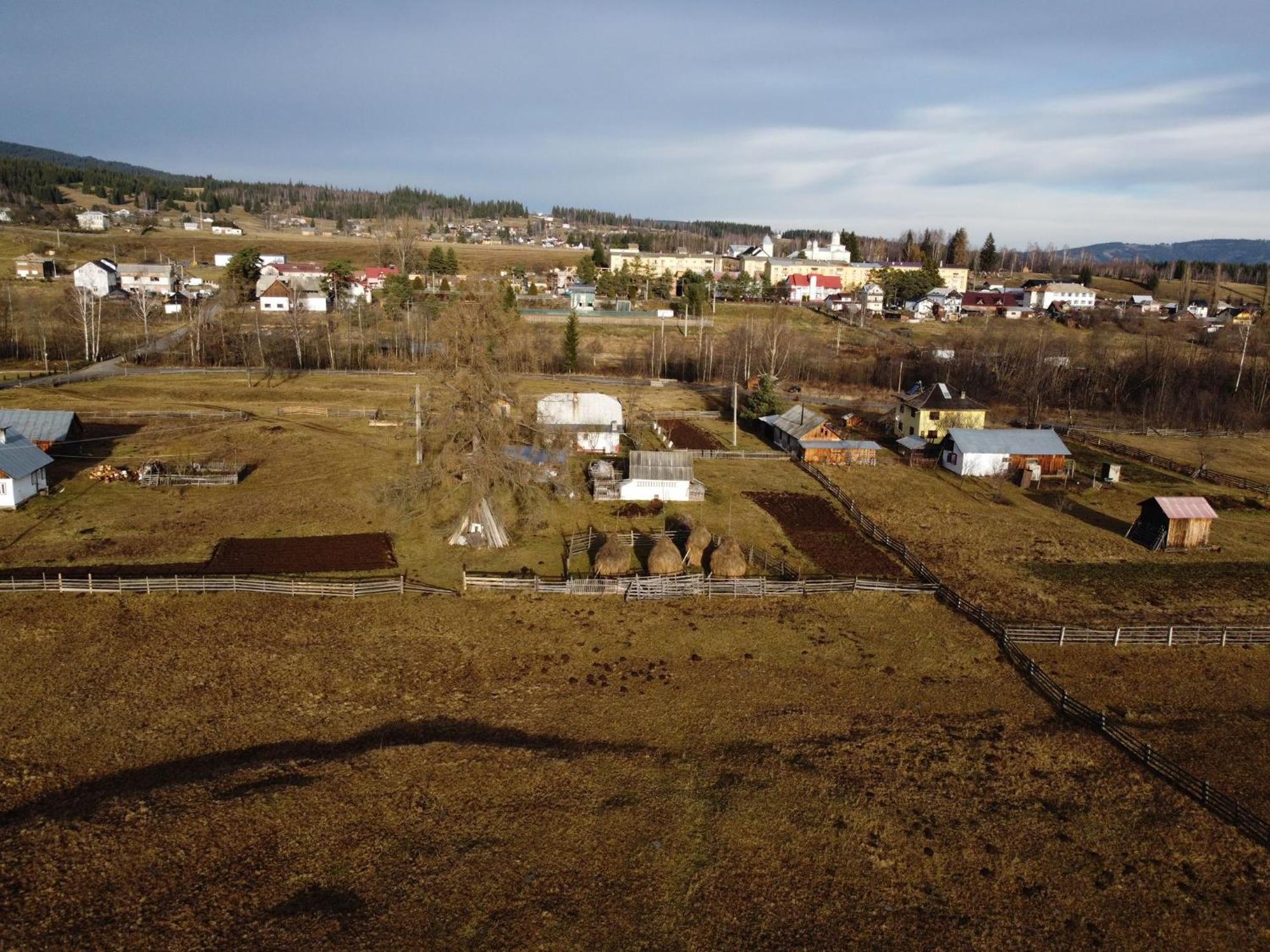Vila Raisa Neagra Sarului Exteriör bild