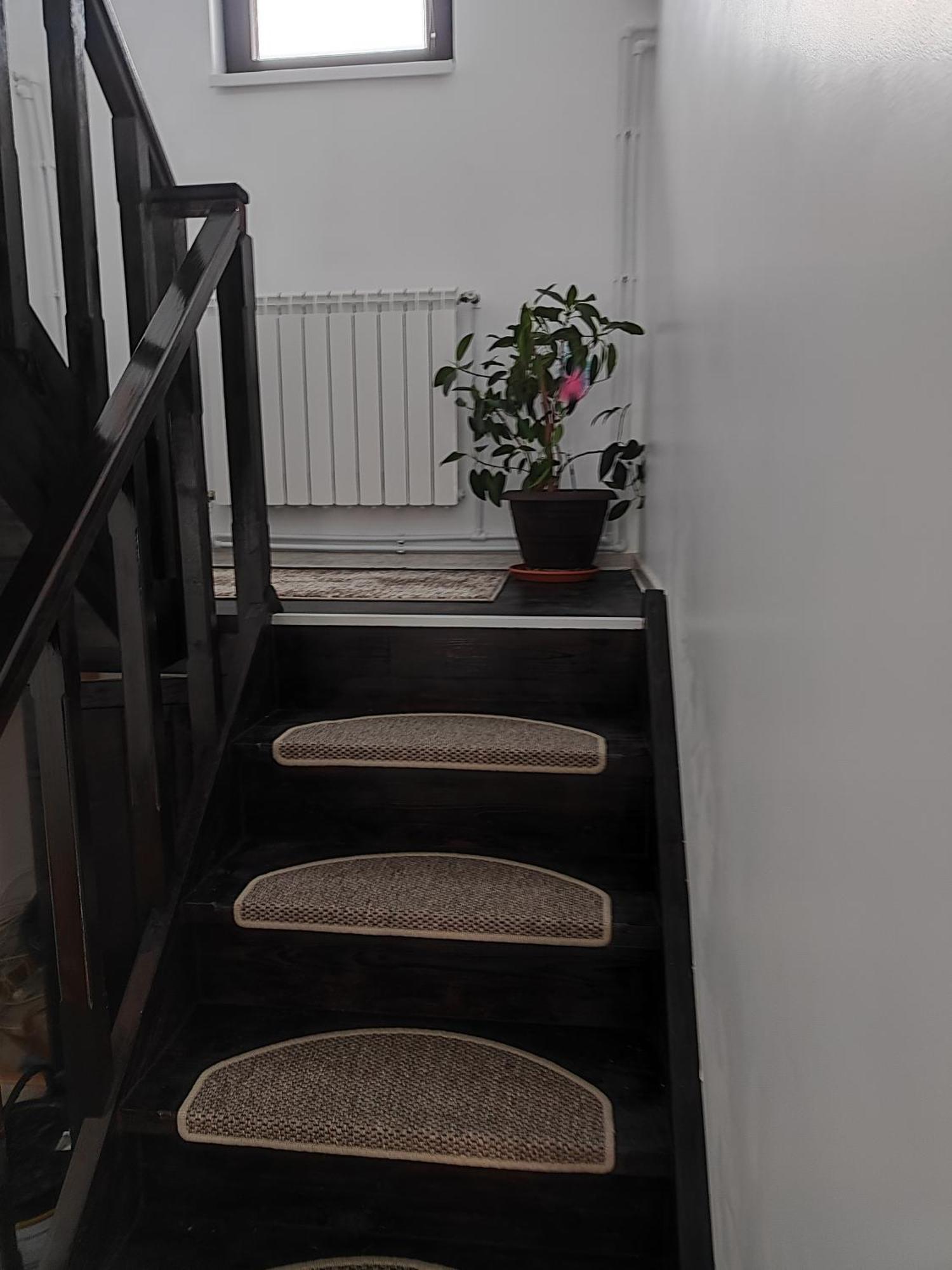 Vila Raisa Neagra Sarului Exteriör bild